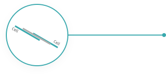 新利体育·luck18(中国)官方网站